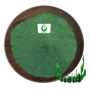 60% proteína de algas orgânicas Chlorella Spirulina em pó