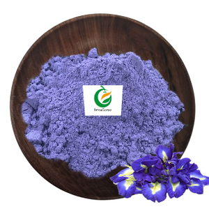 Extrato de flor de ervilha borboleta azul orgânico em pó